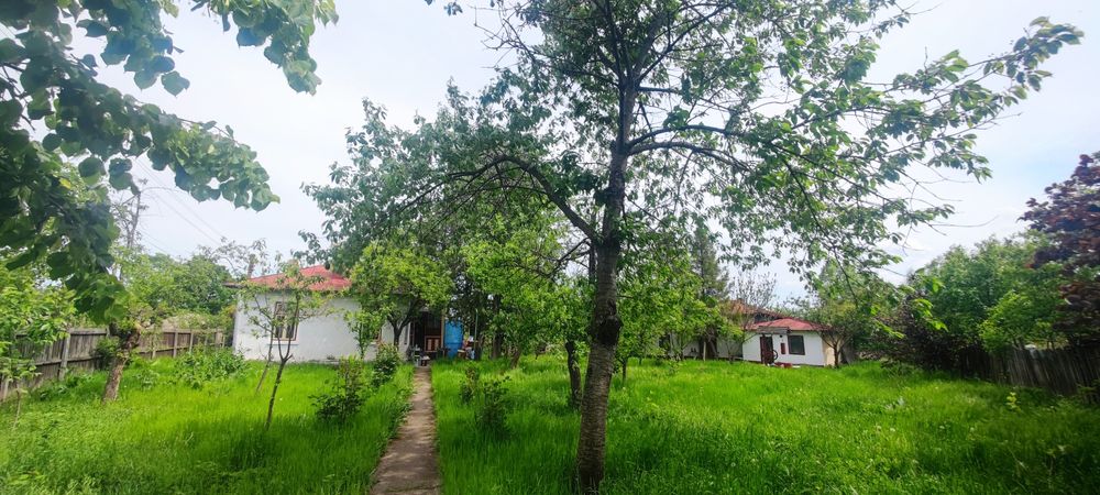 Casă cu teren 6338 mp