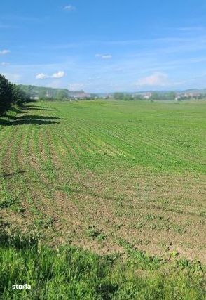 Teren de vânzare în Sântana de Mureş