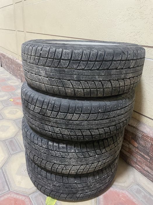 Диска приора зимний