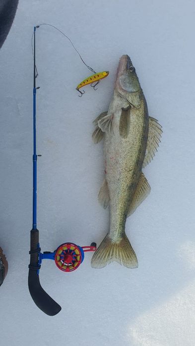 Эхолот DEEPER Chirp+,