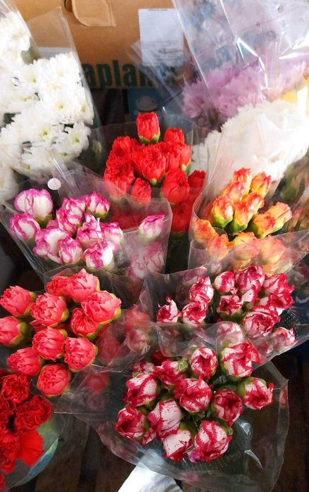 Продавам рязан цвят карамфил,, лале, хризантема, роза