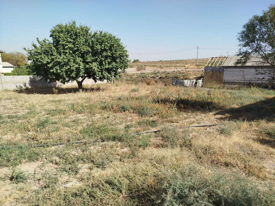 Нурафшон шахрида уй қуриш учун ер сотилади.