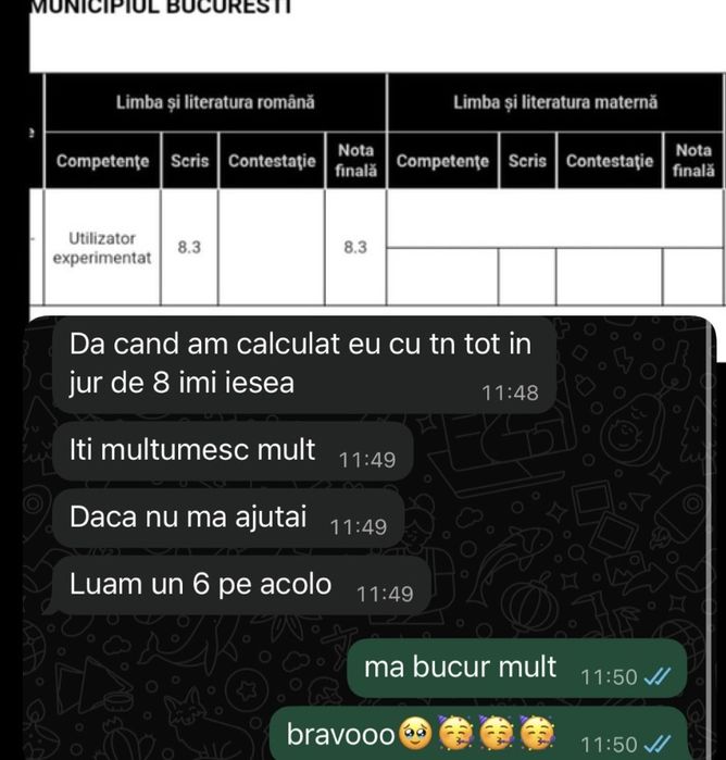 Meditații Limba și Literatura Română