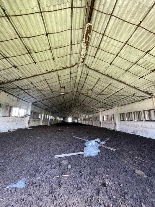 Teren intravilan 16382mp