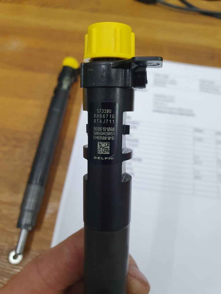 Injectoare recondiționate Delphi EMBR00101D pentru Ford 2.0Tdci