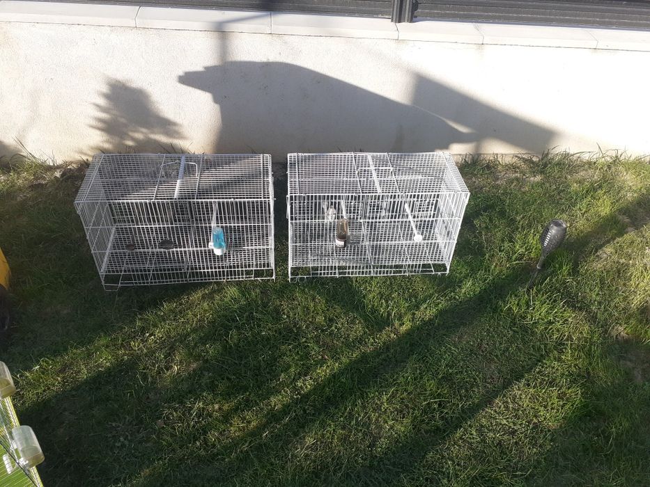 Cuști pentru papagali