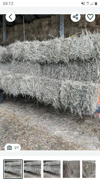 Baloți lucernă cal.1 preț.30 lei greutate 30-35 kg.caoasa a 3-4.