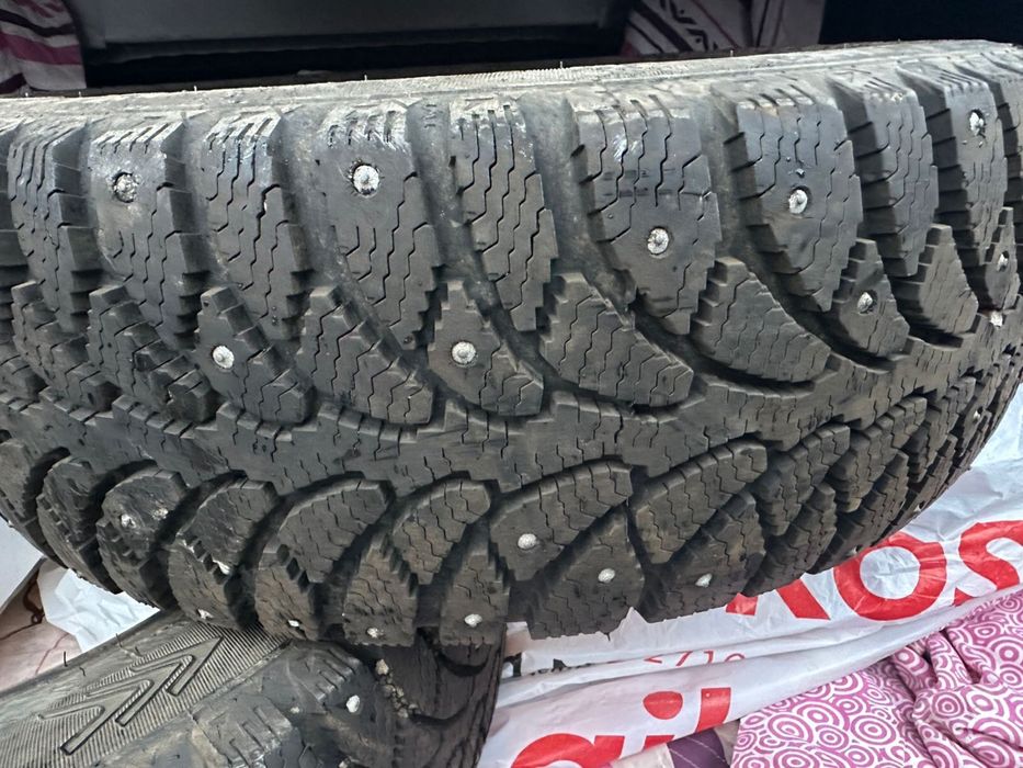 шиныоргштрапшшрпе