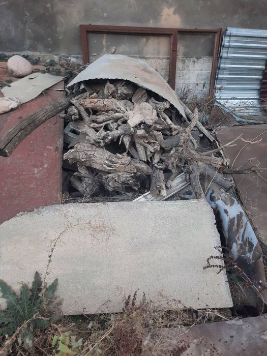 Otin sotilad sirochni