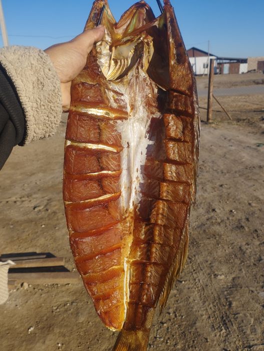 Копченый судактар