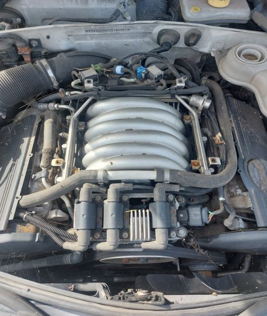 Galerie admisie Volkswagen VW Passat B5.5 (facelift)