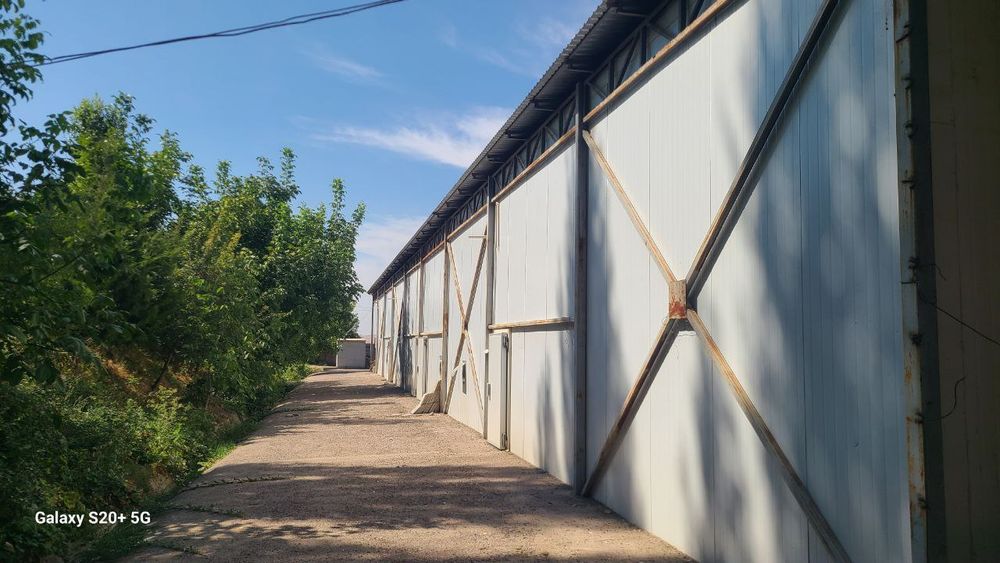 Продается комплекс холодильных помещений и офис. 40 соток.