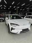 BYD song plus Champion