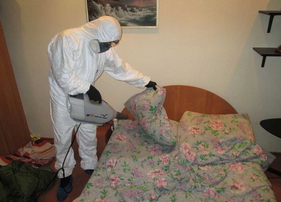 Dezinfeskiya Дезинфекция: защита вашего здоровья и благополучия 6D