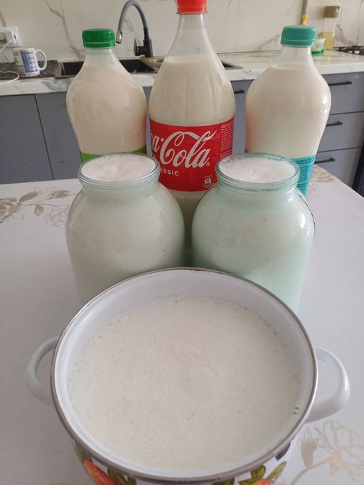 Козье молоко, ешкі сүті сатылады
