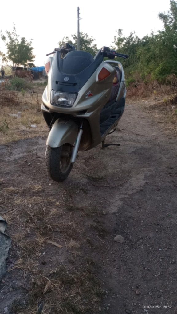 Yamaxa Majesty 250cc