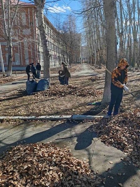 Уборка при домовых территории
