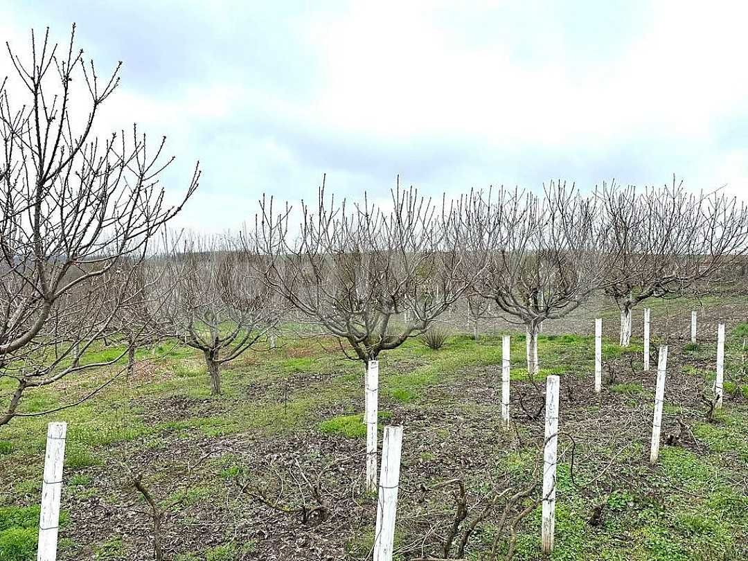 Реновирана къща в село Житница