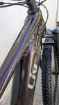 Ebike Liv Giant EMBoleden 29