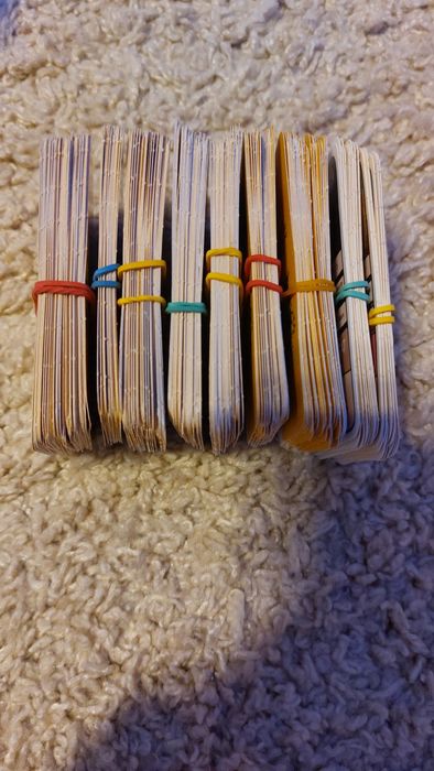 Expeditie in jurul lumii 2 Mega peste 200 de cartonase cu animale