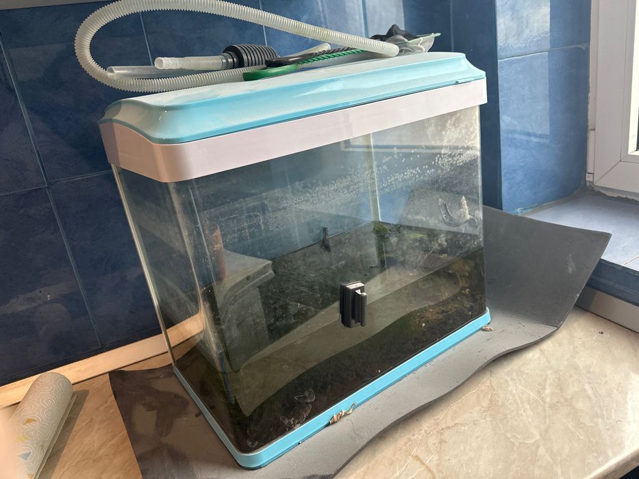 Acvariu pesti , in stare buna