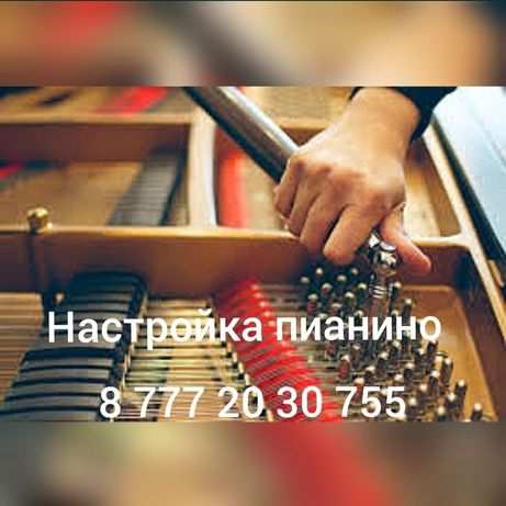 Настройщик-Пианино,рояль,Алматы-настройка