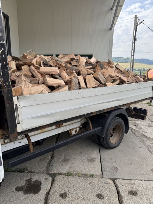 Vând lemn de foc de fag vrac