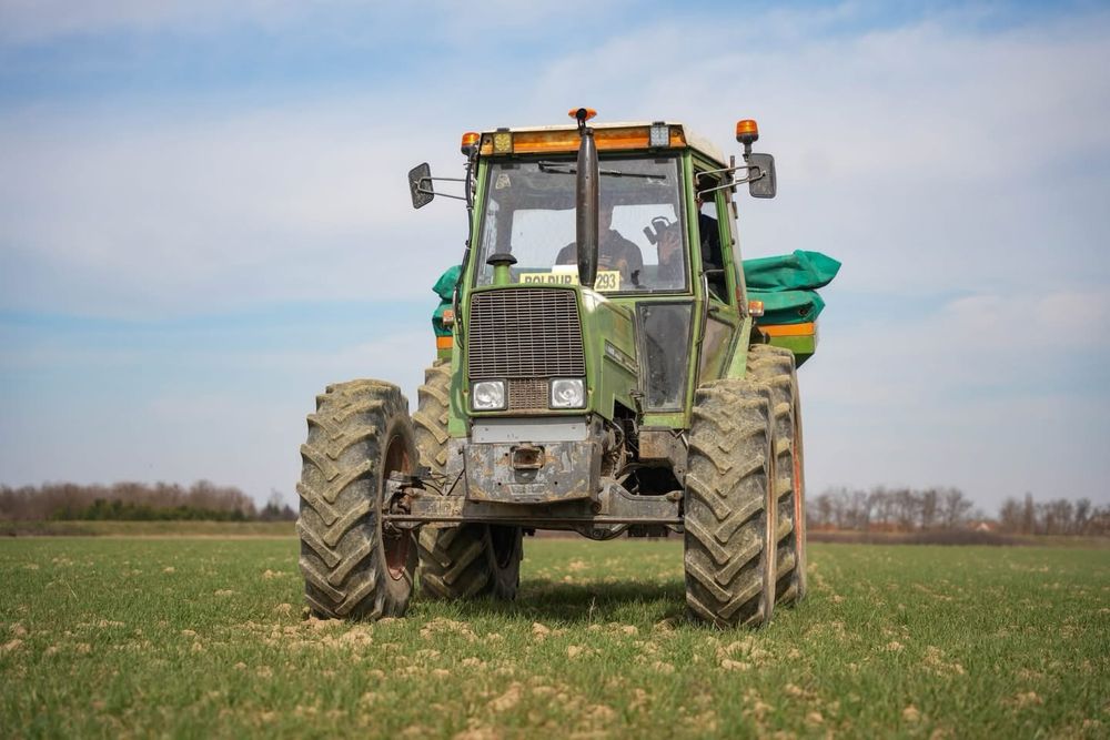 Porumb și grâu 2025