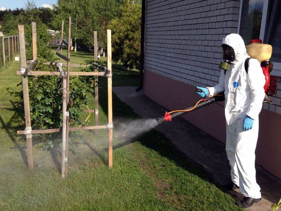 Уничтожения клопов и тараканов