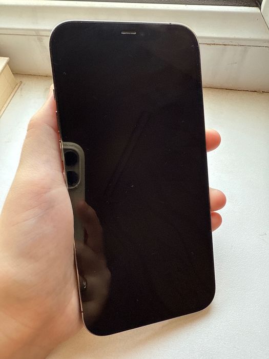 iphone 12 pro max