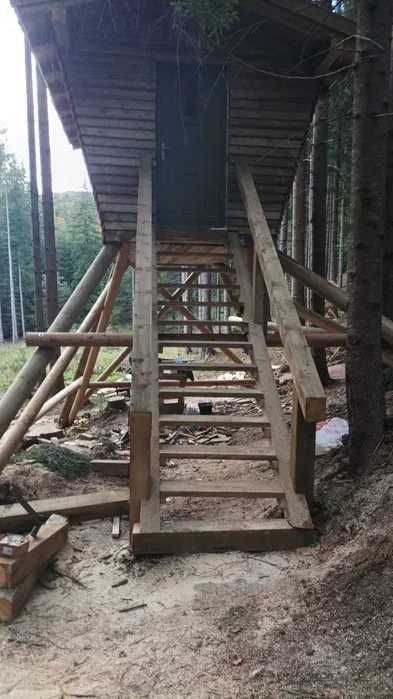 Observatoare si platforme de observare animale salbatice