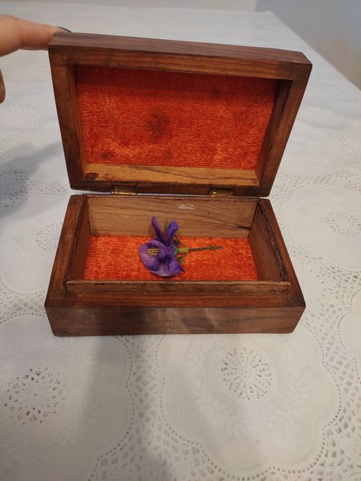 Cutie / organizator bijuterii