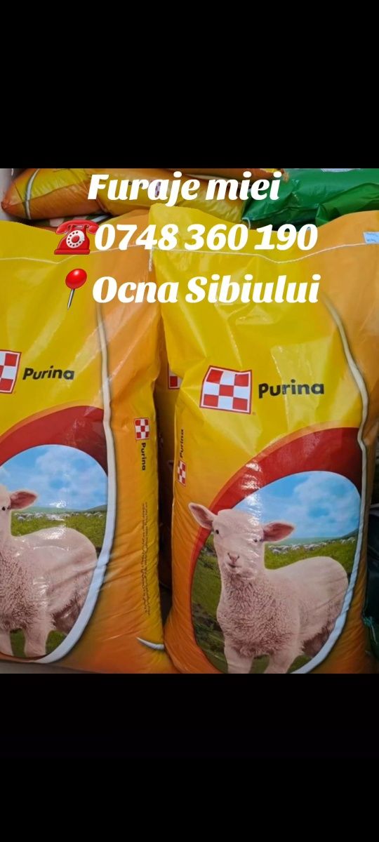 Furaj  complet miei Purina