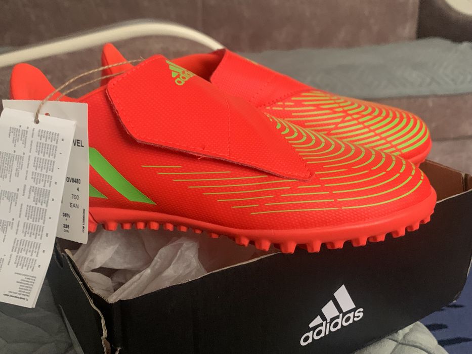 Сороконожки продам