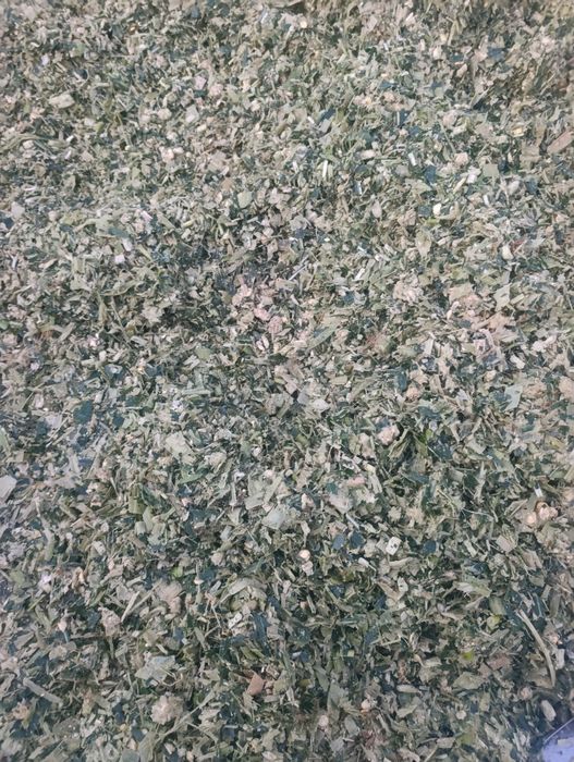 Selos 20mindan Toshkent boylab dastafka hizmati bor