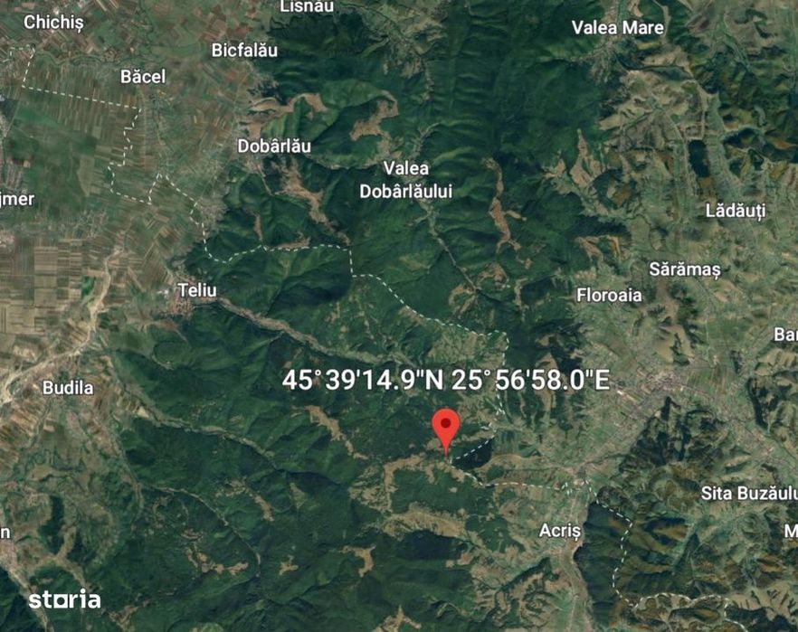 Teren - padure Teliu - Bradet