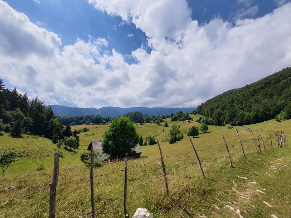 Teren Dambovicioara Piatra Craiului