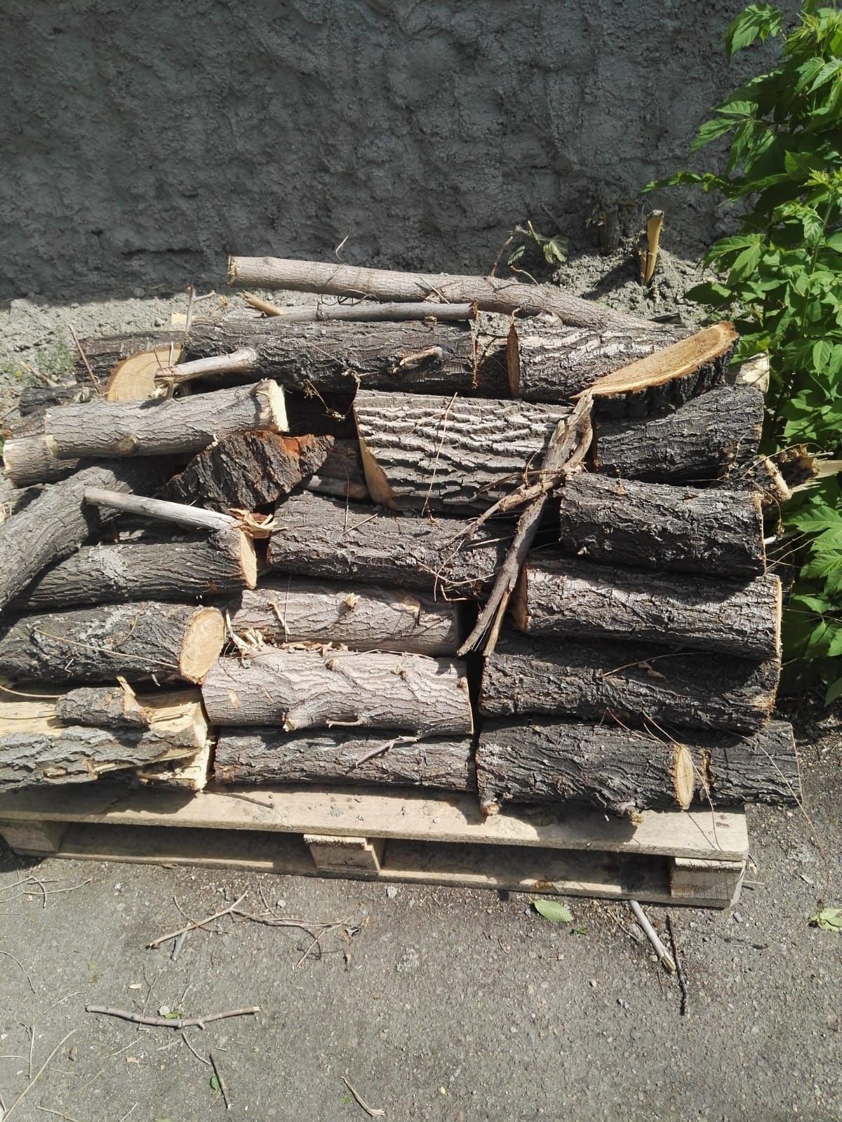 Продам драва, доставка по Сарани