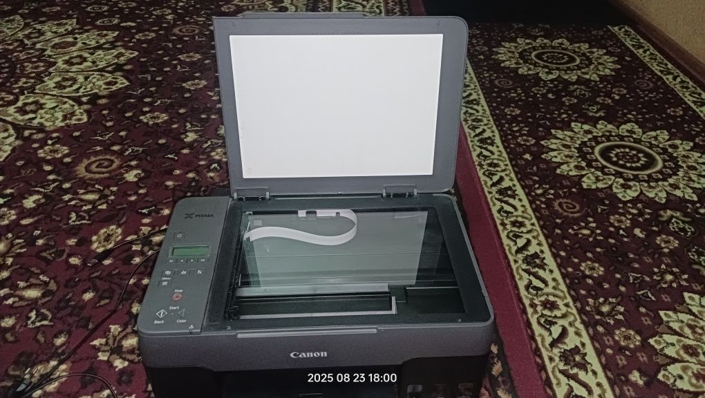 Printer Canon G2020