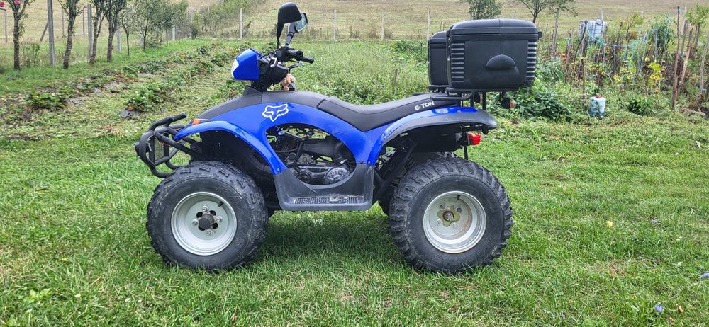 Atv e ton 2x4 cutie automată