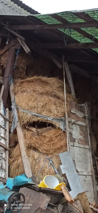 Vând baloți lucerna și fan