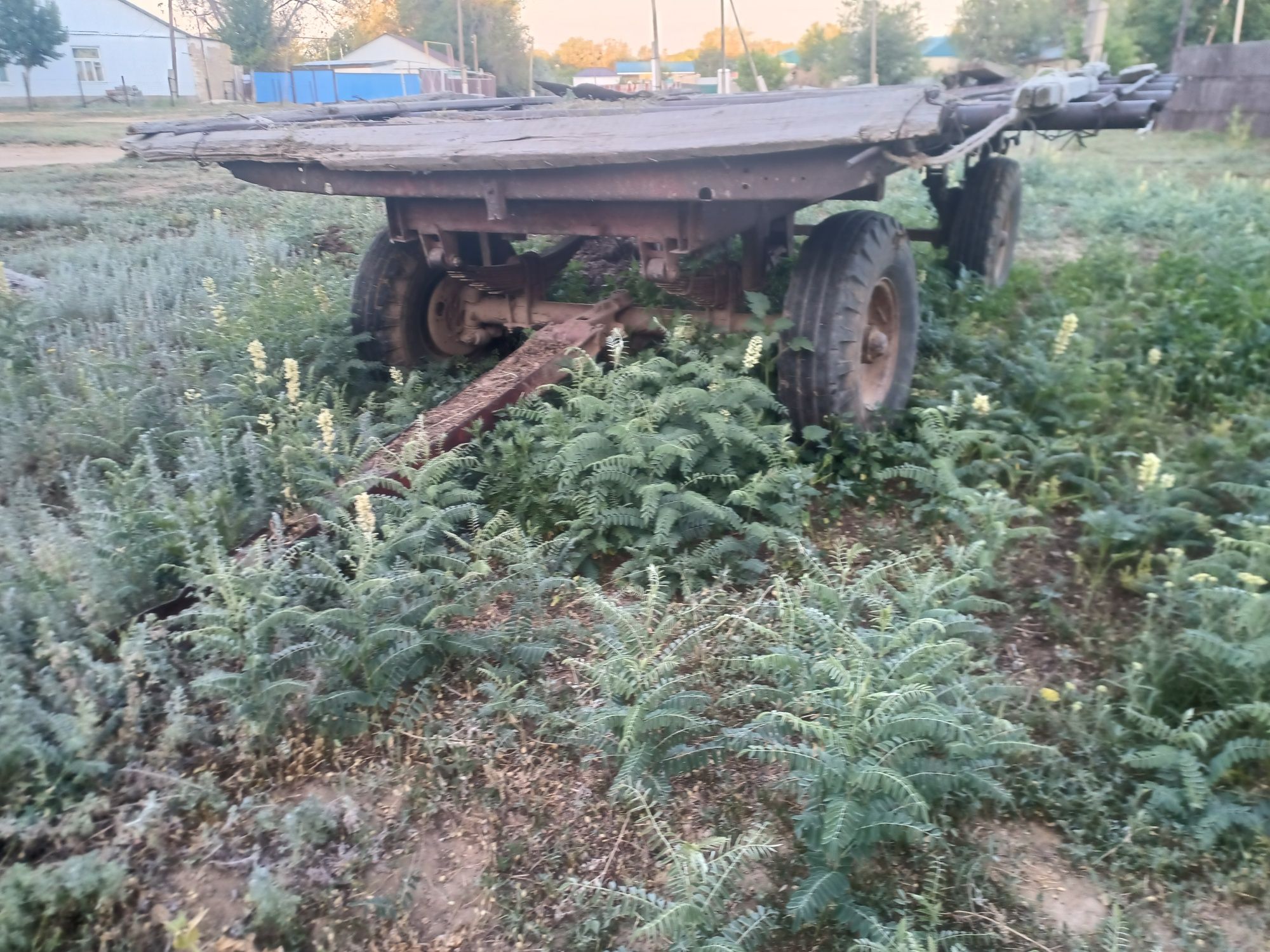 Телешка 5тн сатылады