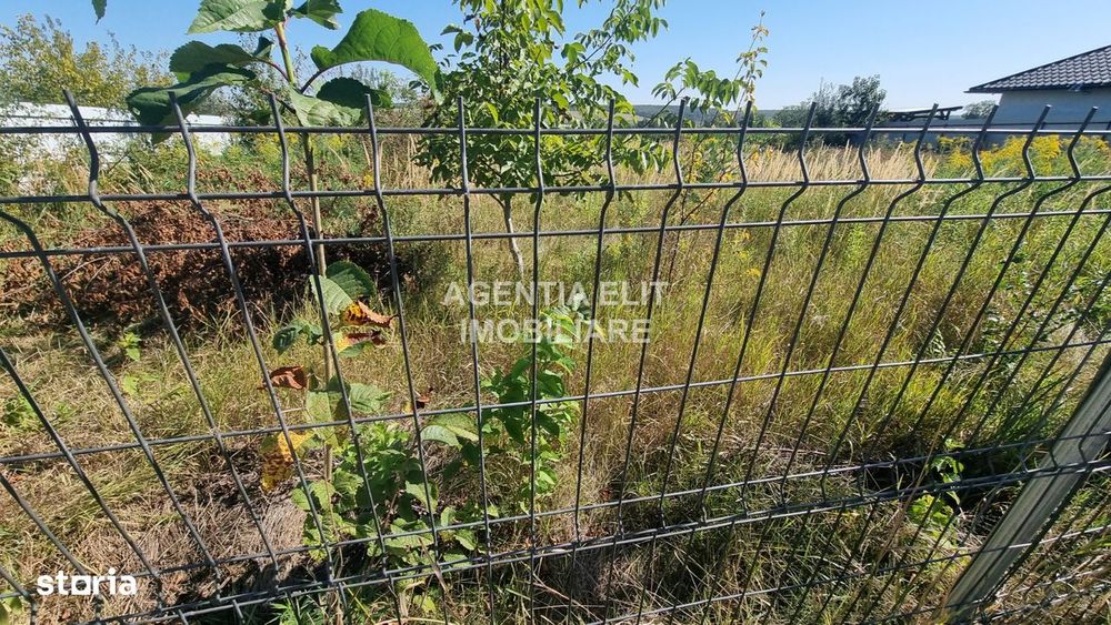 teren, zona Tulbureni, intravilan