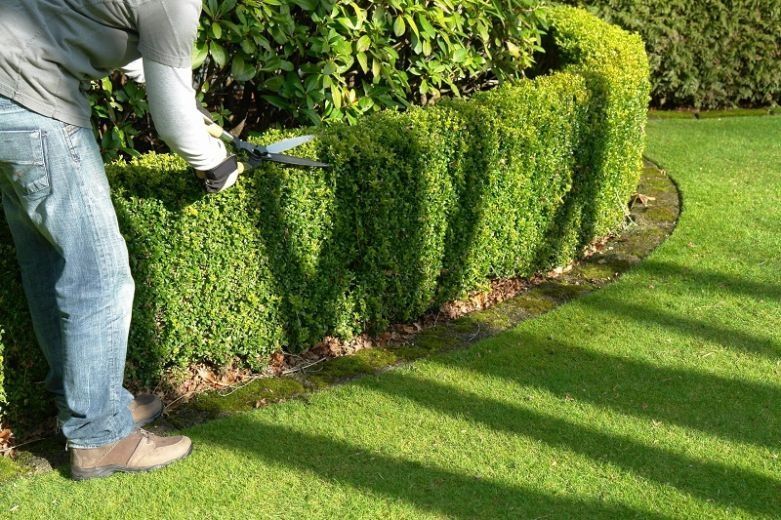 Изгрид ва арчаларни кесиш хизмати арзон ва сифатли