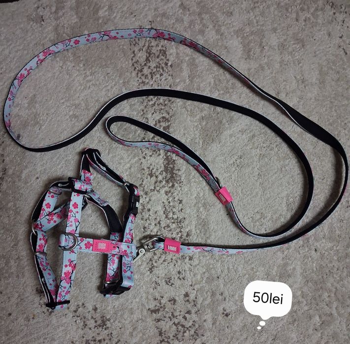 Accesorii pt căței, talie mica