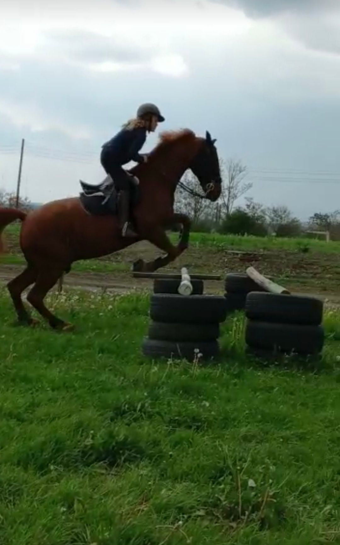 Cal echitatie working equitation