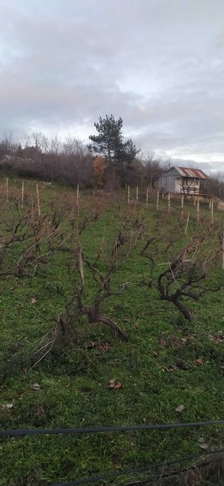 Продава се Парцел в Карлово - 1000 кв.м за 5 €/кв.м - Снимка #4