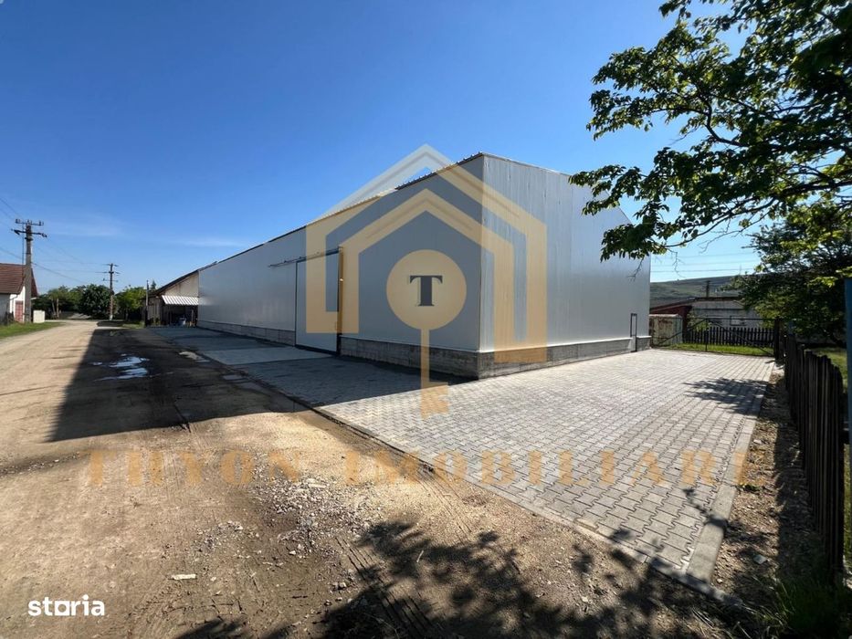 Hala Industriala Betonata Petresti