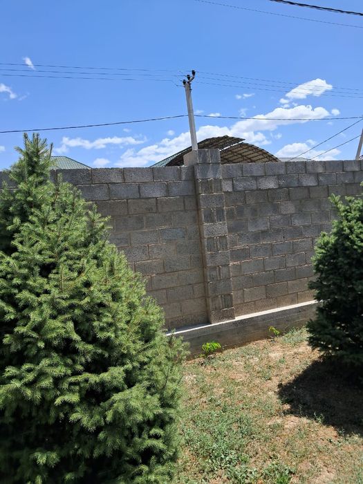 Пилим деревья карагач фруктовые