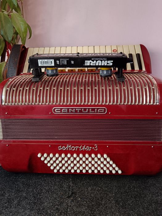 Vind doua boxe pasive si un acordeon